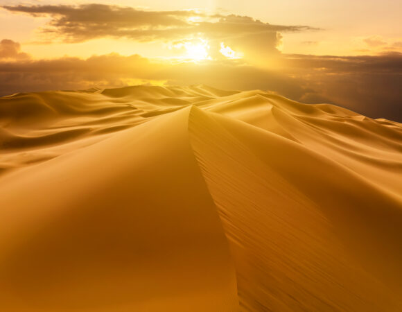 Experience the Magic : Sunrise Desert Safari Adventure