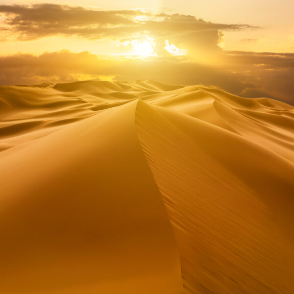 Experience the Magic : Sunrise Desert Safari Adventure